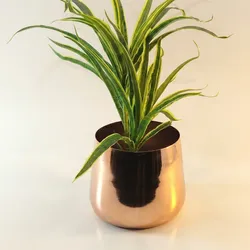 SHOP_BY_CATEGORY_Flower_Pots__Allotrope