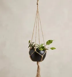 SHOP_BY_CATEGORY_HANGING_POTS__Allotrope 