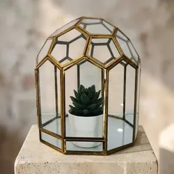 SHOP_BY_CATEGORY_TERRANIUMS__Flora Sense