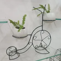 SHOP_BY_CATEGORY_STANDS__Flora Sense