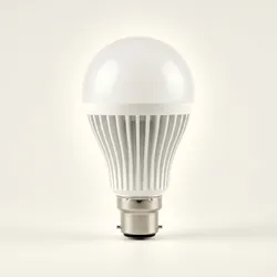 SHOP_BY_CATEGORY_LIGHT_BULBS__The Decor Atelier