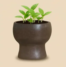 SHOP_BY_CATEGORY_PLANTER_POTS__Ecocraftz