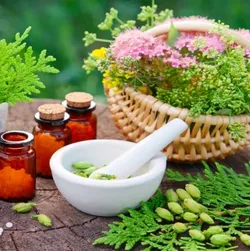 SHOP_BY_CATEGORY_MEDICLINAL_PLANTS__Plants Villa