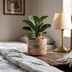 SHOP_BY_CATEGORY__FLOWER_POTS__Resha Planters