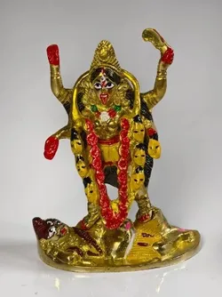 BRAND_CATEGORY_NEW_ARRIVALS__Pital Murty Industry