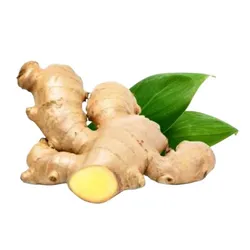 SHOP_BY_INGREDIENTS_GINGER__Vedancy