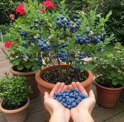 SHOP_BY_CATEGORY_BEST_SELLER__NURSERY LIFE