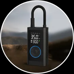 SHOP_BY_CATEGORY_CAR_ORGANIZER__Classic Car Decor 