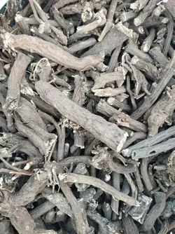 BRAND_CATEGORY_NEW_ARRIVALS__Nithastu Manufacturers