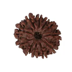 SHOP_BY_CATEGORY__RUDRAKSH__Ratnashree