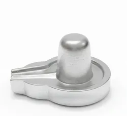 Parad_Items__Mahakal Rudraksha 