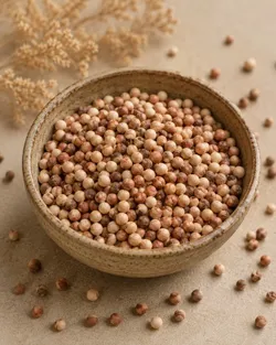 SHOP_BY_CATEGORY_SANDALWOOD_SEEDS__Shuddh Chandan