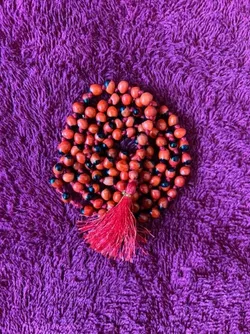 SHOP_BY_CATEGORY_NEW_ARRIVALS__Honodix