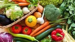 Shop_by_Crop_Vegetable__KISAN AGRI KENDRA