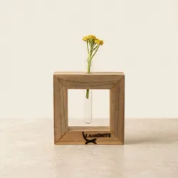 SHOP_BY_CATEGORY_PLANT_DECOR__LAMONTE