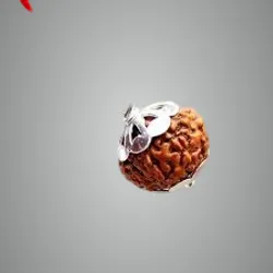 SHOP_BY_CATEGORY_NEW_ARRIVALS__Parva Enterprises