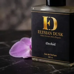 SHOP_BY_CATEGORY_WOMENS___Elysian Dusk