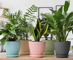 SHOP_BY_CATEGORY_FLOWER_POTS__Kogent Enterprise