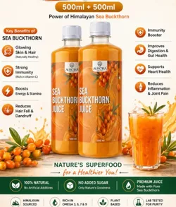 SHOP_BY_CATEGORY_SEA_BUCKTHORN_JUICE__Aurcira Organic