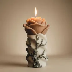 SHOP_BY_CATEGORY_CANDELS__Cozie Aura