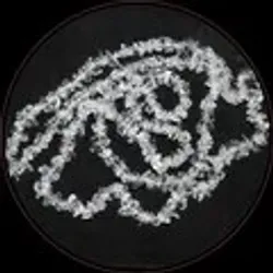 OUR_COLLECTIONS_JEWELLERY_BEADS__BeadSourceIndia