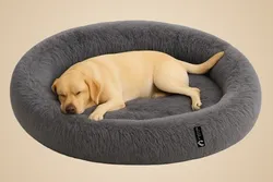 SHOP_BY_CATEGORY_PETS_BED__Stuffiva