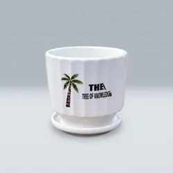 SHOP_BY_CATEGORY_HOME_DECOR__HAVNLY