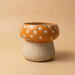 SHOP_BY_CATEGORY_ALL_PRODUCTS__HAVNLY