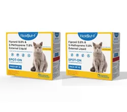 SHOP_BY_CATEGORY_CAT_CARE__Pawsome Companions