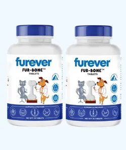 SHOP_BY_CATEGORY_ALL_PRODUCTS__Pawsome Companions