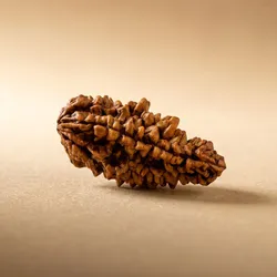 SHOP_BY_CATEGORY_Rudraksha_Items__Amrit Jyotish