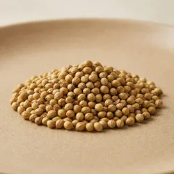 SHOP_BY_CATEGORY_SPICES__Alpha Traders