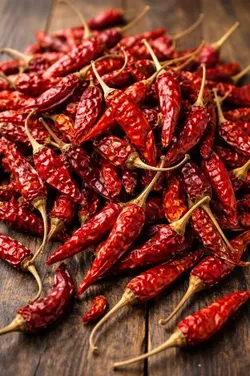 SHOP_BY_CATEGORY_NEW_ARRIVALS__Alpha Traders