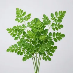 SHOP_BY_CATEGORY_BEST_SELLER__LAHORI ENTERPRISES