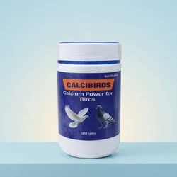 SHOP_BY_CATEGORY_VITAMINS__Savsubh 