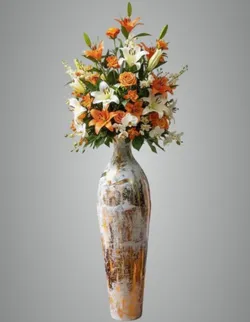 SHOP_BY_CATEGORY_NEW_ARRIVALS__Bindya Star