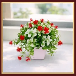 SHOP_BY_CATEGORY_Bonsai_Tree__KRICART