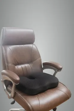 SHOP_BY_CATEGORY_OFFICE_SEAT_CUSHIONS__CushyComfy