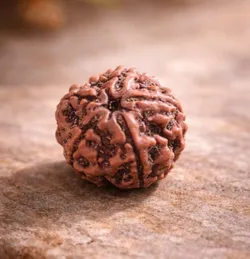 SHOP_BY_CATEGORIES_RUDRAKSHA_COLLECTION__Antrya