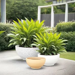 SHOP_BY_CATEGORY_PLANT_BOWL__Universal Fountain