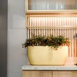 SHOP_BY_CATEGORY_PLANT_BOX__Universal Fountain