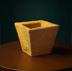 SHOP_BY_CATEGORY_Plant_Bowl__Organic Khadd 