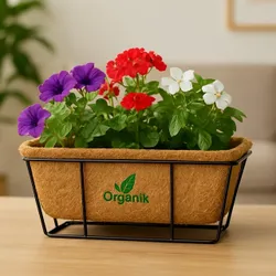 SHOP_BY_CATEGORY_Plant_Box__Organic Khadd 