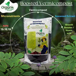 SHOP_BY_CATEGORY_Vegetables__Organic Khadd 