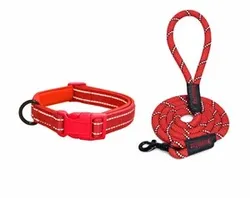 SHOP_BY_CATEGORY_SHOP_FOR_DOG__Petrends