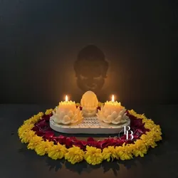 SHOP_BY_CATEGORY_FESTIVE_COLLECTION__Pink Blossom