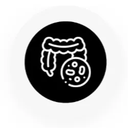 BY_CONCERN_Gut_and_Digestion__ACTELON 