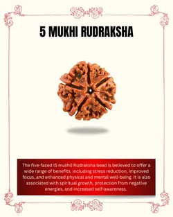 SHOP_BY_CATEGORY_RUDRAKSHA_ITEMS__ShubhCrystals