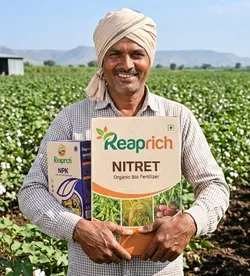 SHOP_BY_CATEGORY_MULTI_PURPOSE__Reaprich