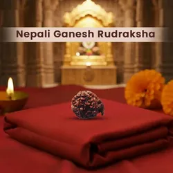 SHOP_BY_CATEGORY_CHARMS__Amoghtantra